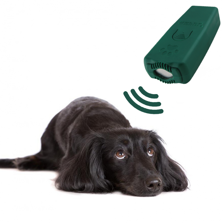 kedi köpek maması üretim tesisi kurmak